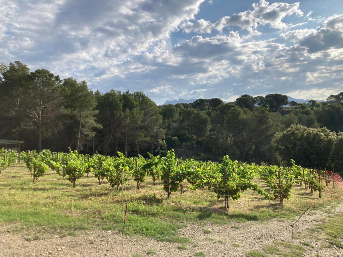 Habitacion Suite En Masia Can Robira Els Hostalets de Pierola Kültér fotó